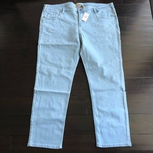Ashley Stewart Light Blue Jegging